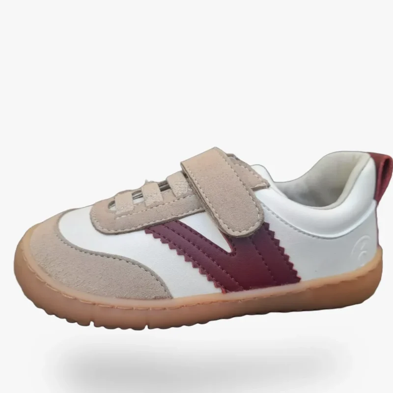 Coqueflex 15503 Comb 2