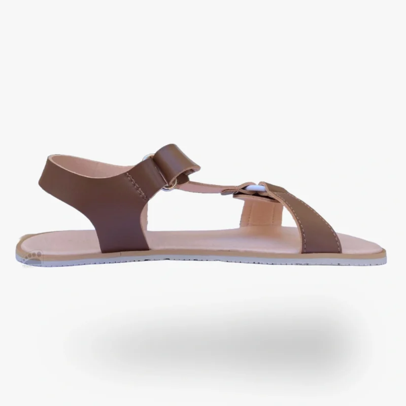 Coqueflex 1445 PL Cuero