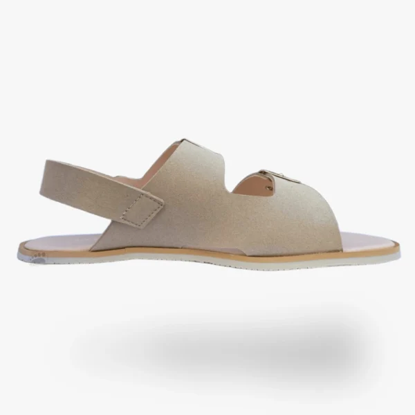 Coqueflex 1560 PL Suede Salino