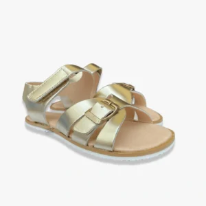 Coqueflex 15533 Chicago Banchi