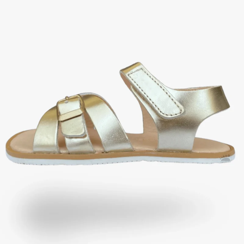 Coqueflex 15533 Chicago Banchi