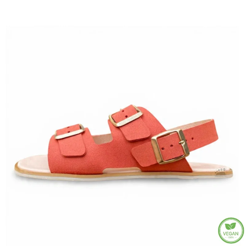 Coqueflex 1552 PL Suede Coral