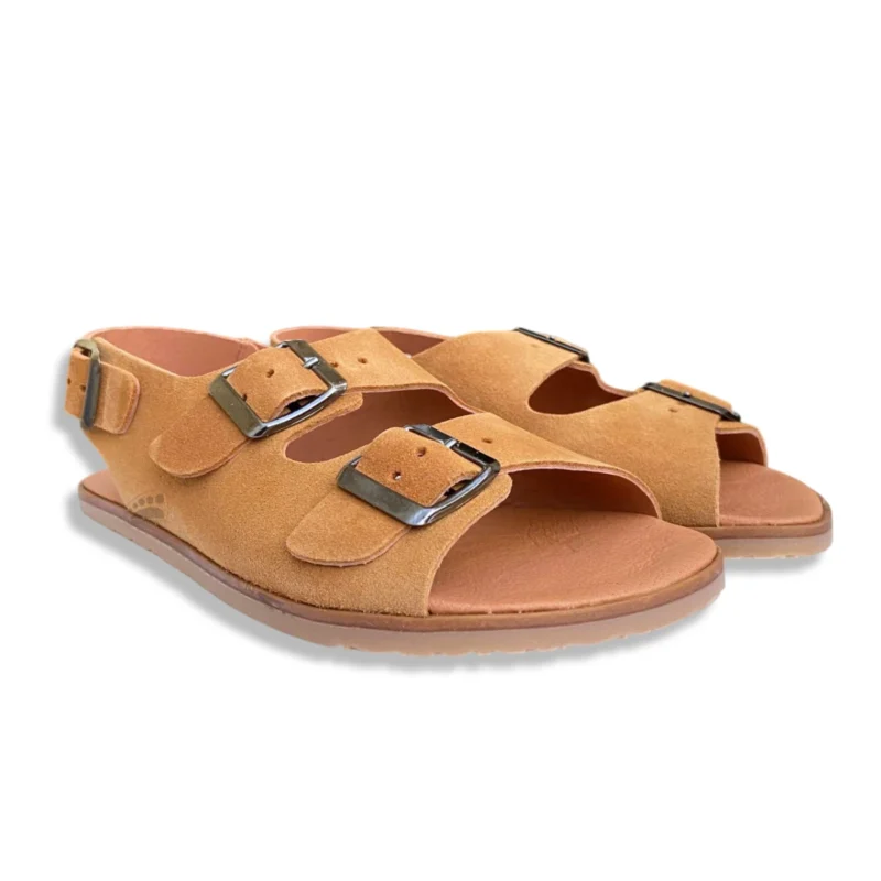 Vivant Semilla Serraje Whisky