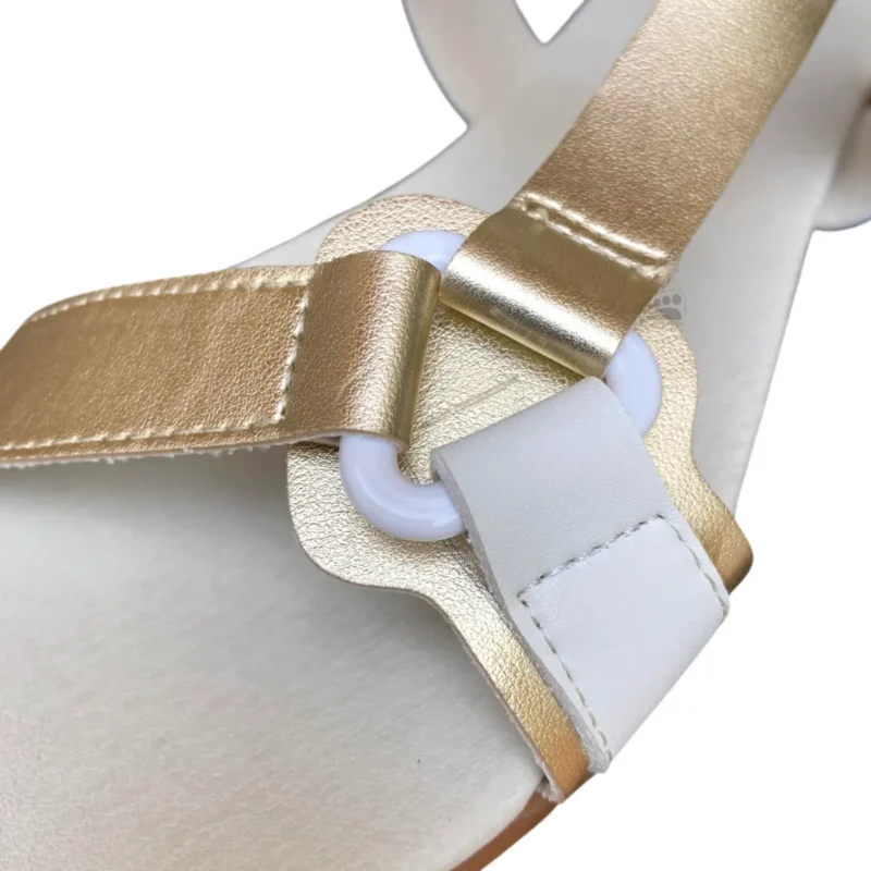 Coqueflex 1445 Júpiter Comb 3