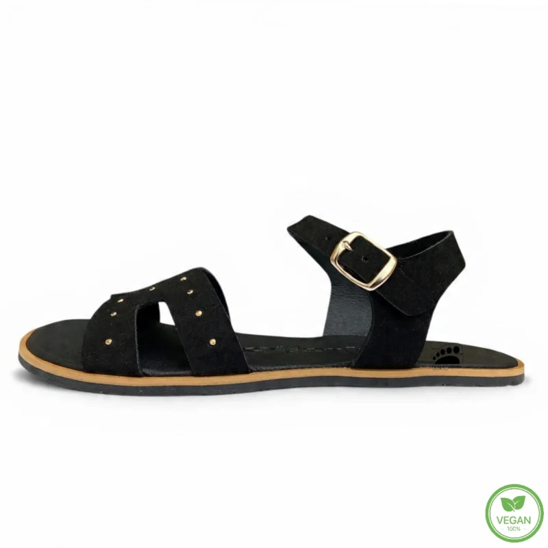 Coqueflex 1577 Suede Negro