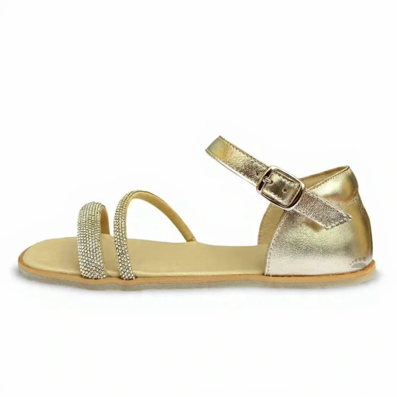 Nens S 6632 PR Cava